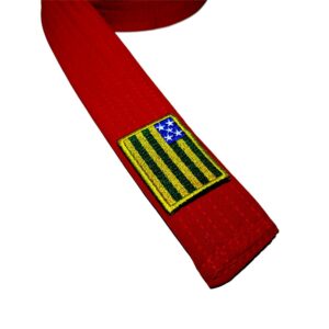 Bandeira Goiás Brasil Patch Bordada passar ferro ou costura
