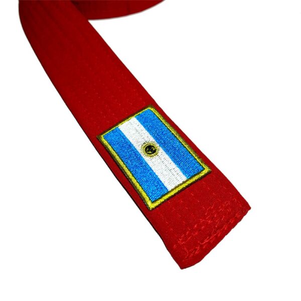 Bandeira país Argentina Patch Bordada passar a ferro costura - Imagem 2
