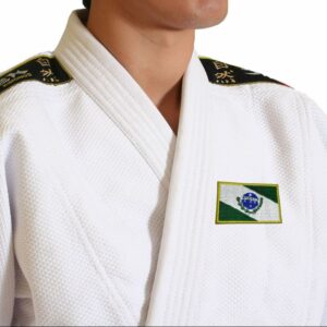 Bandeira Paraná Brasil patch bordada, passar a ferro costura