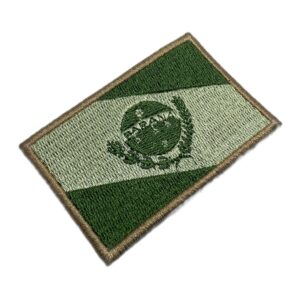 BE0174T03 Bandeira Paraná Brasil Patch Bordado Termo Adesivo