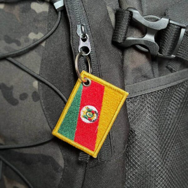 BE0019-011 Bandeira Rio Grande do Sul Patch Bordado 5,7x3,8cm - Imagem 3
