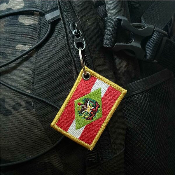 BE0168-011 Bandeira Santa Catarina Brasil Patch Bordado 5,7x3,8cm - Imagem 4