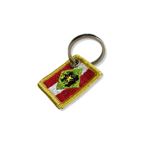 BE0168-031 Bandeira Santa Catarina Brasil Patch Bordado 3,8x2,5cm - Imagem 5