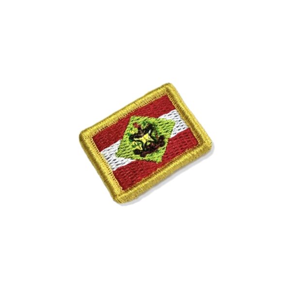 BE0168-031 Bandeira Santa Catarina Brasil Patch Bordado 3,8x2,5cm - Imagem 8