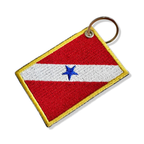 BE0001-001 Bandeira Pará Patch Bordado 7,5x5cm - Imagem 5