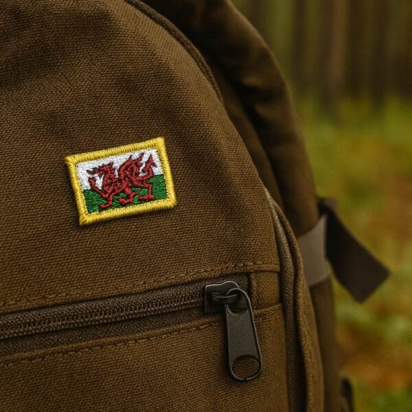 BP0190-031 Bandeira Pais de Gales Patch Bordado 3,8x2,5cm - Imagem 6